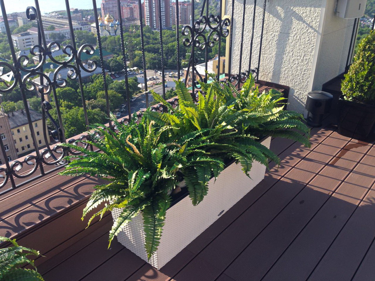 Озеленение частной крыши