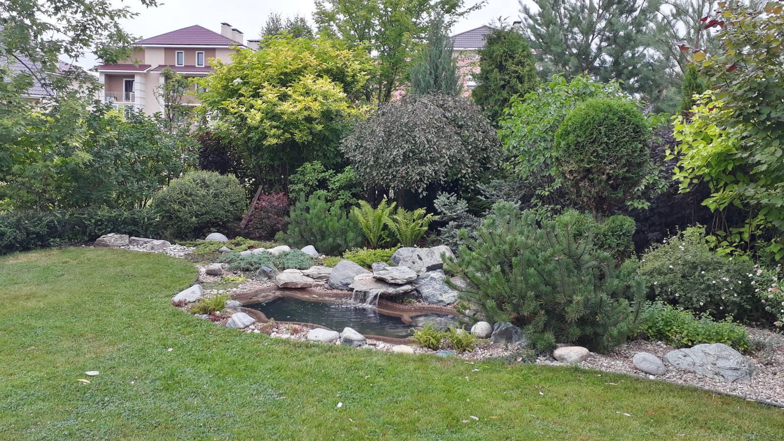 Мини-пруд Королев