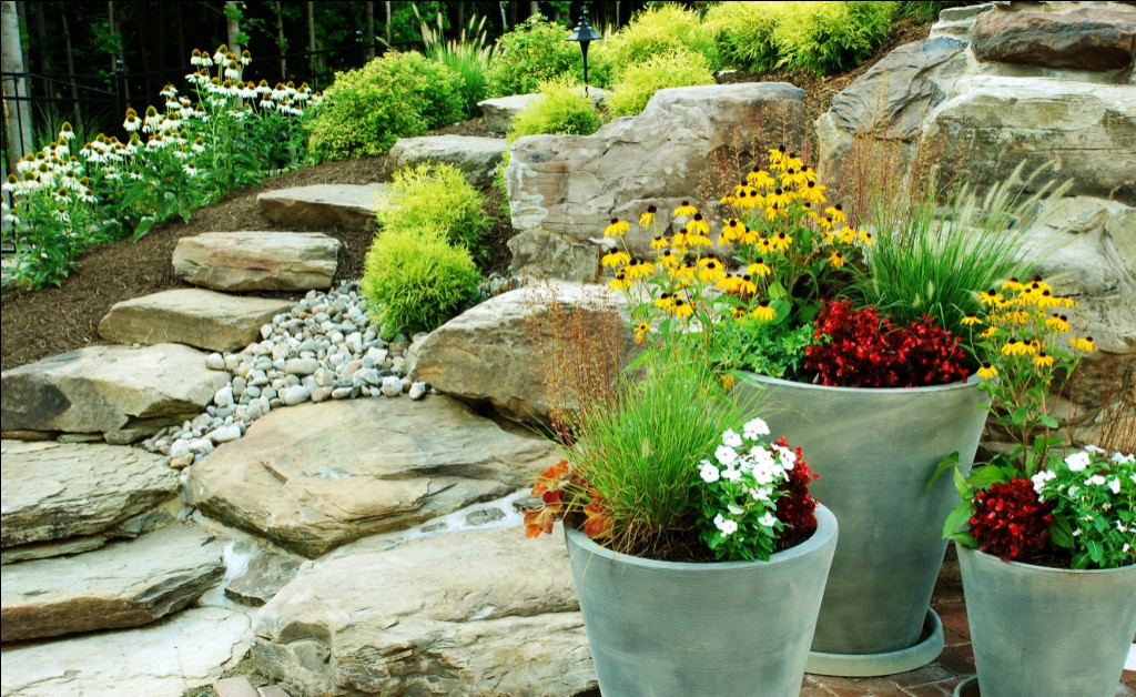 Фоновое изображение профиля Елена Горбачева