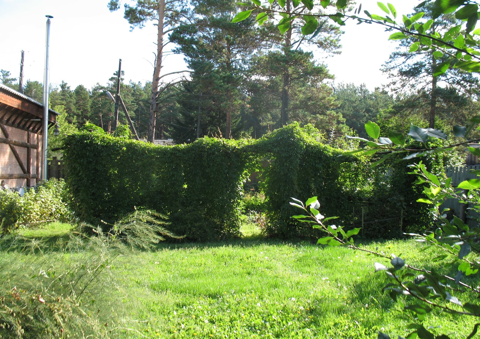 Сад в стиле кантри.
