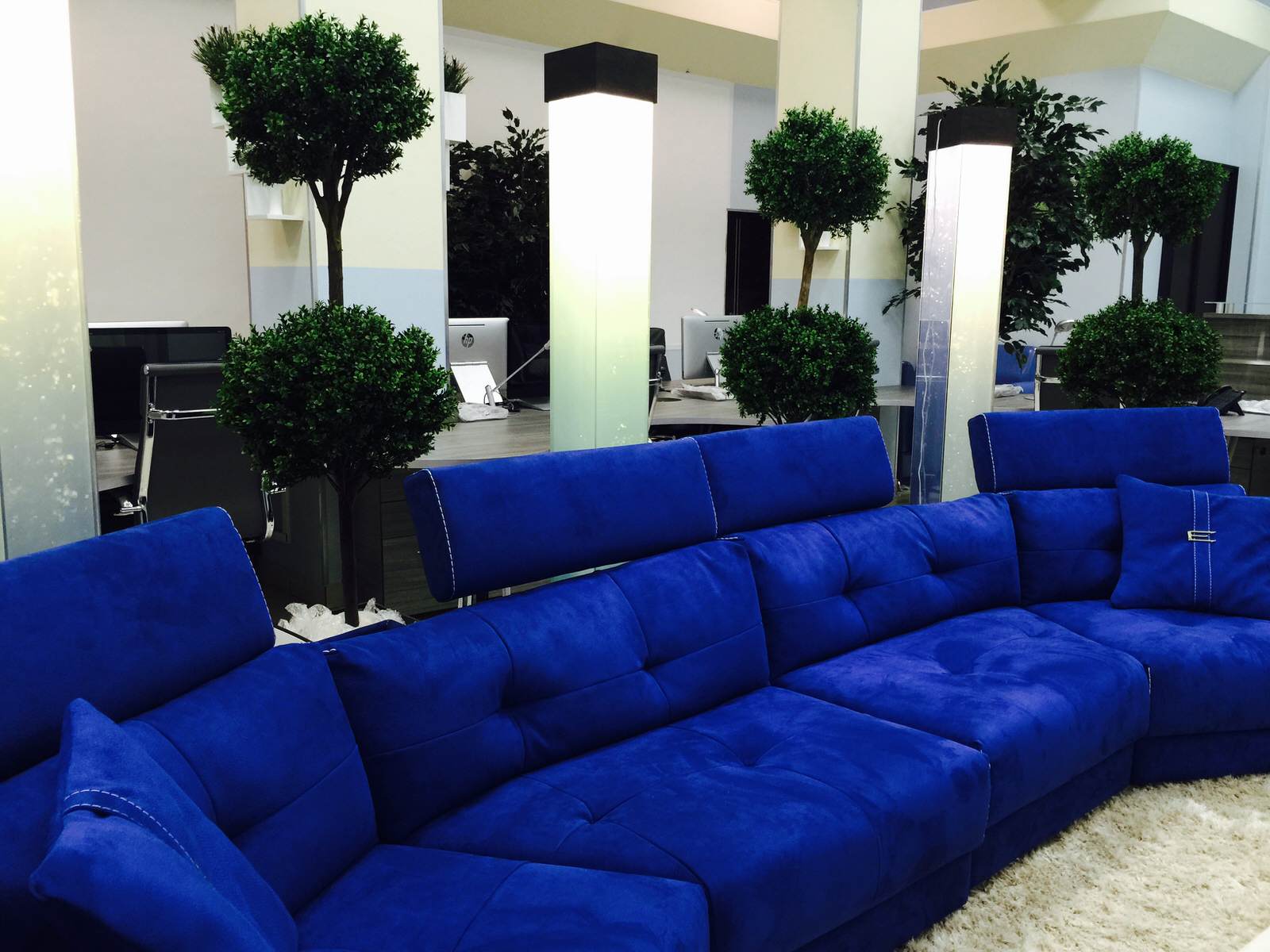 Офис с деревьями