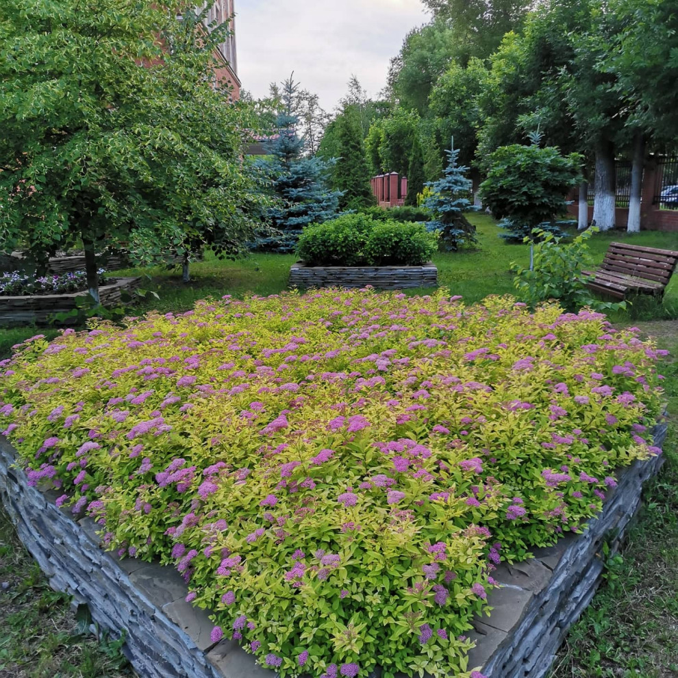 Самара ЛАП №135