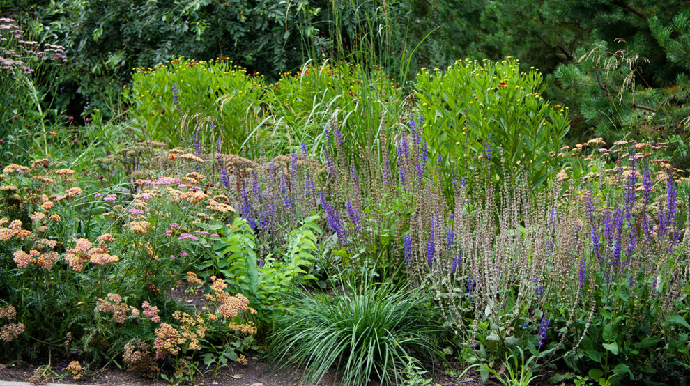 Оттенки синего