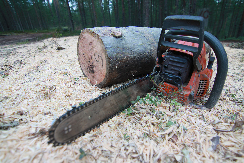 Производство и заготовка