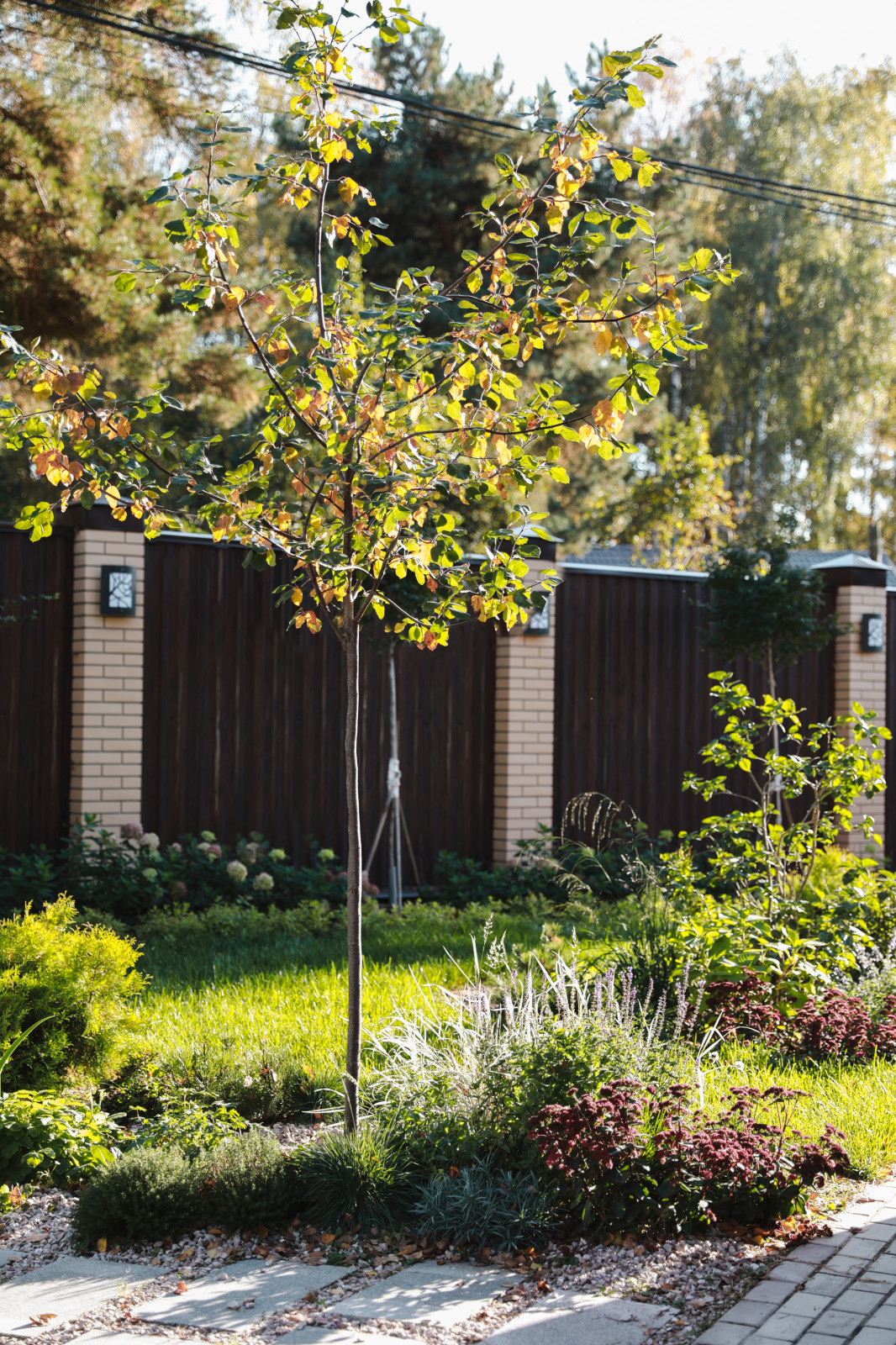 Обложка проекта: Участок 4 сотки, благоустройство и ландшафт