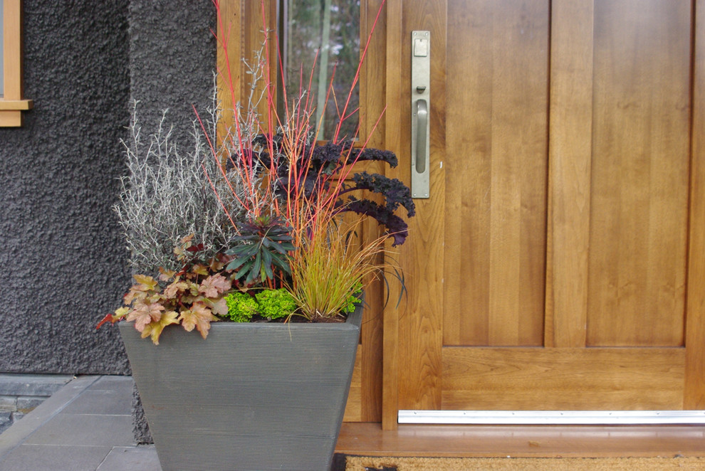 Фотоохота: 45 идей осенних кашпо