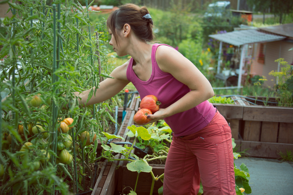 В гостях: Огород на крыше гаража в загородном доме