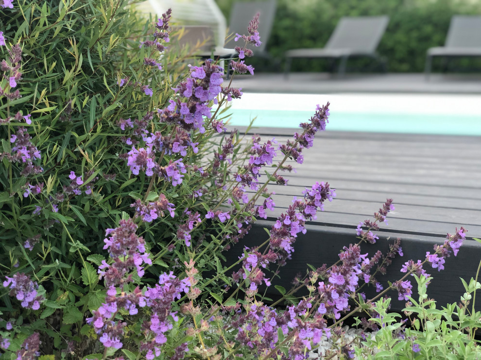 КП Лисавино