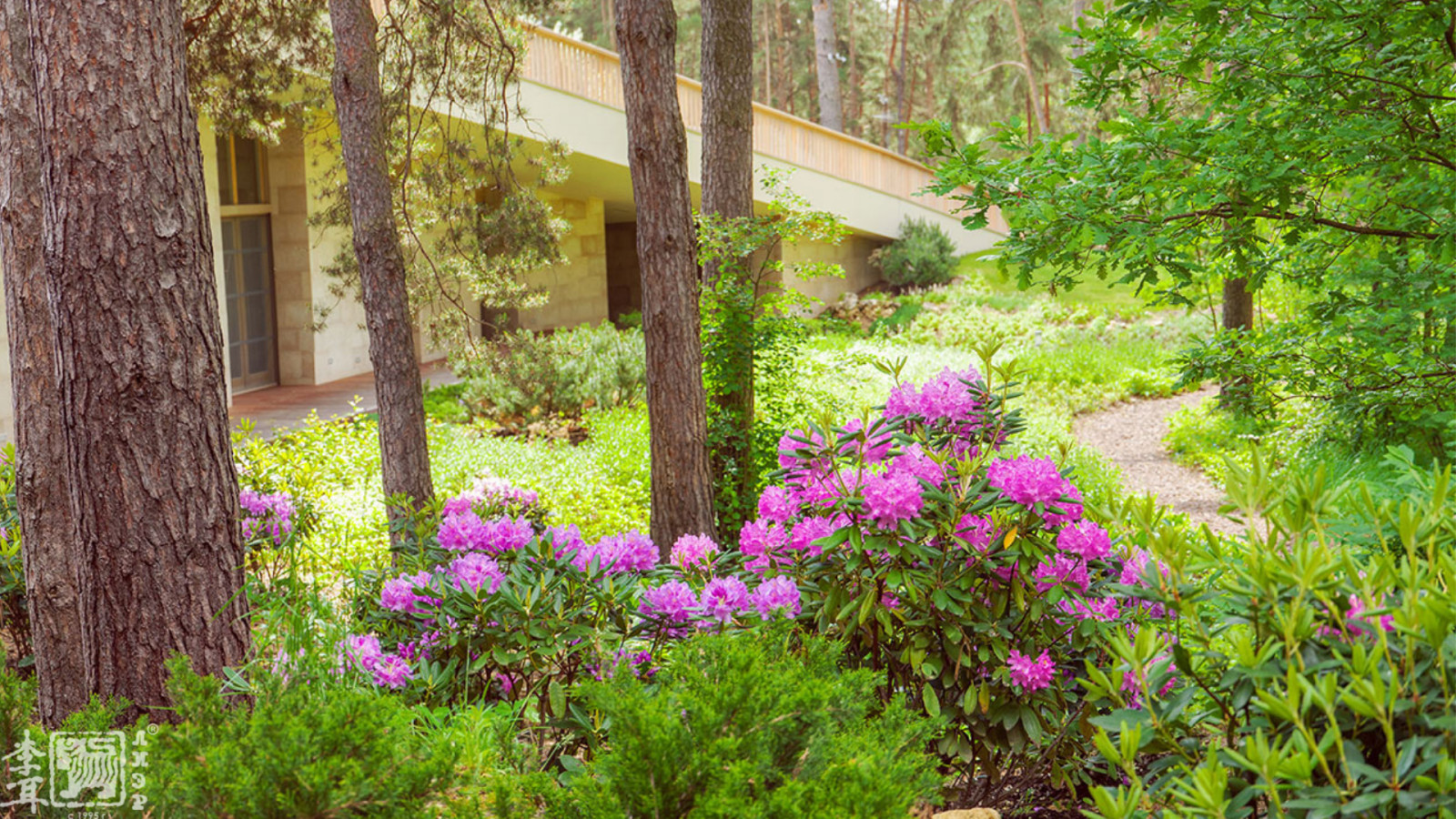 Ландшафтный дизайн лесного участка и кровли