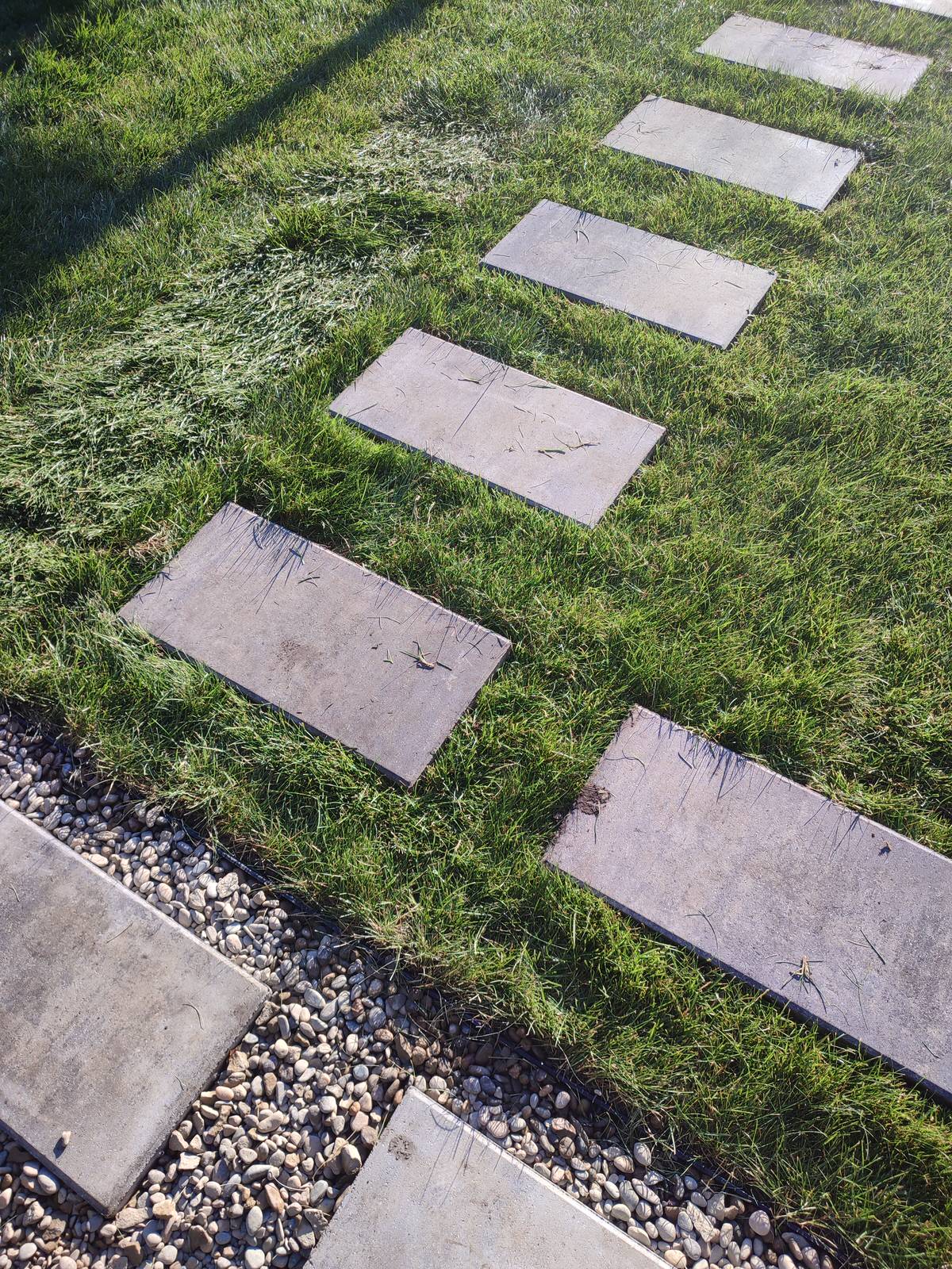 Обложка проекта: Ягодный