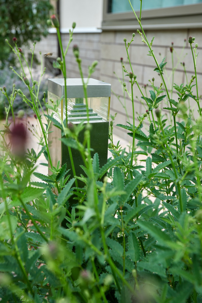 Проект "Современный сад"