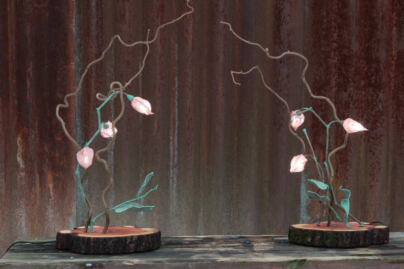 Освещение из живых цветов и растений от Натали Новак