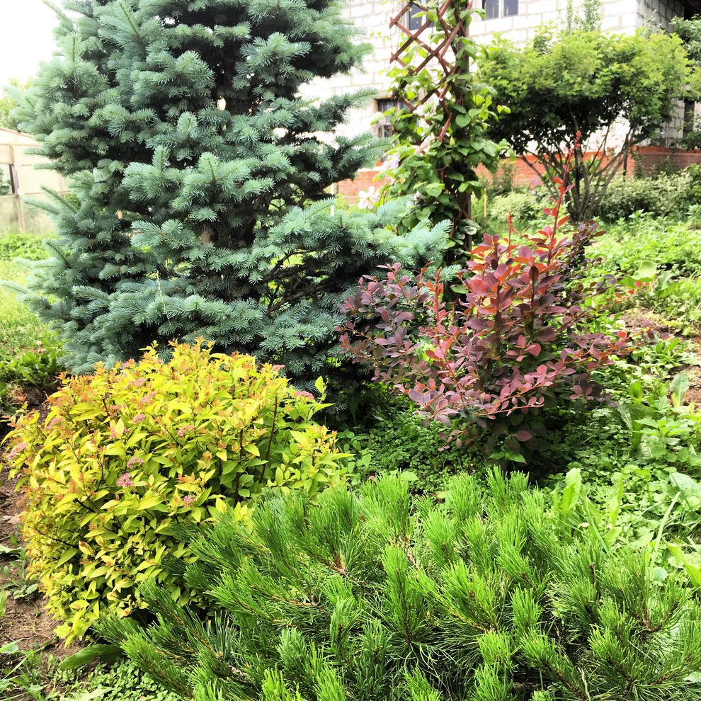 Реставрация старинного сада в калужской области, д