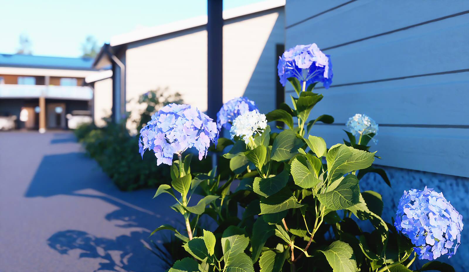 3D-visualisointityöni /Finland