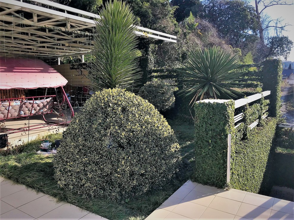 Обложка проекта: Хоста 1