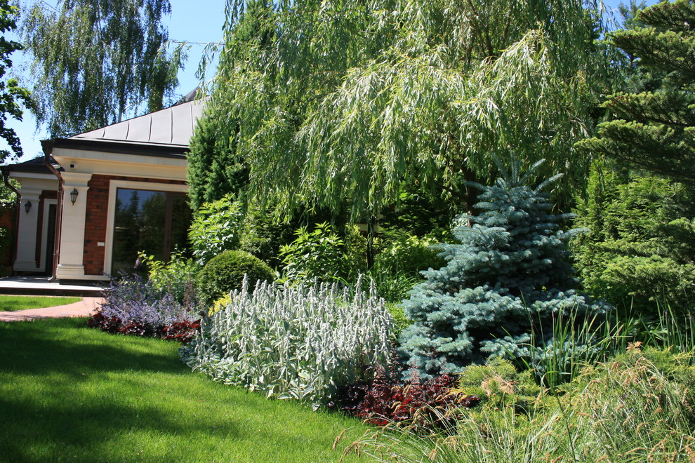 Сад с аурой