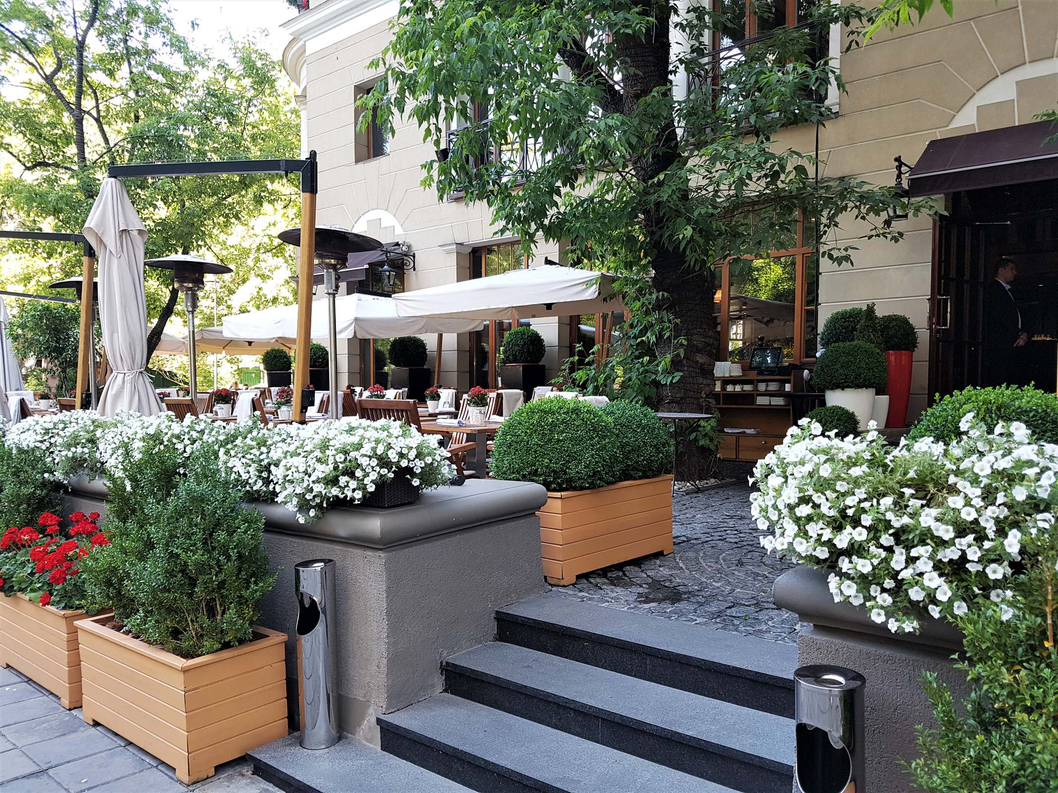 ресторан Аист на Малой Бронной