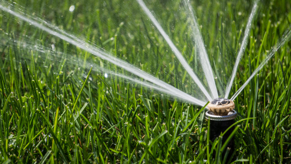 Примеры работ