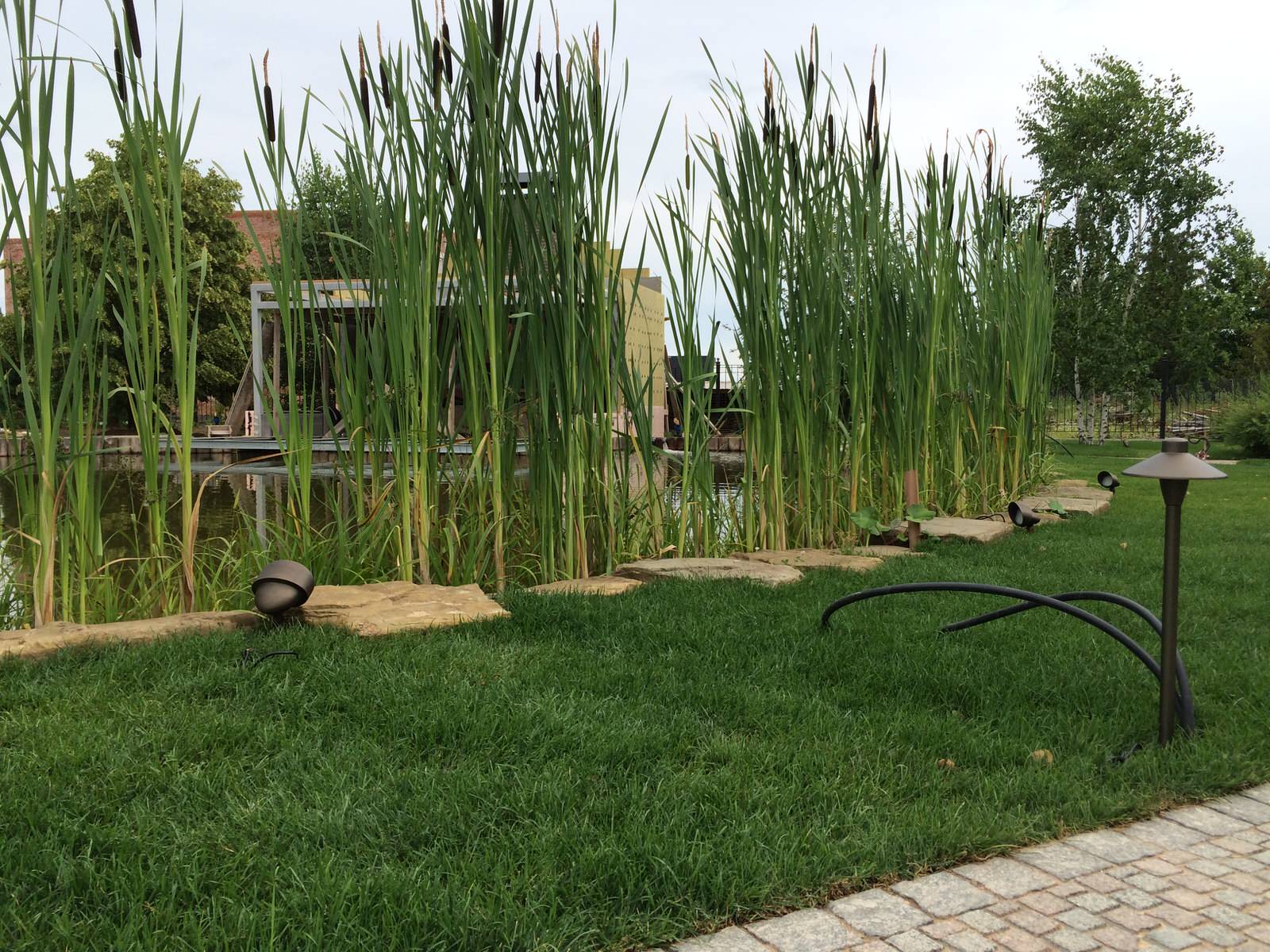 Рабочие будни ландшафтного светодизайнера - ландшафтное освещение