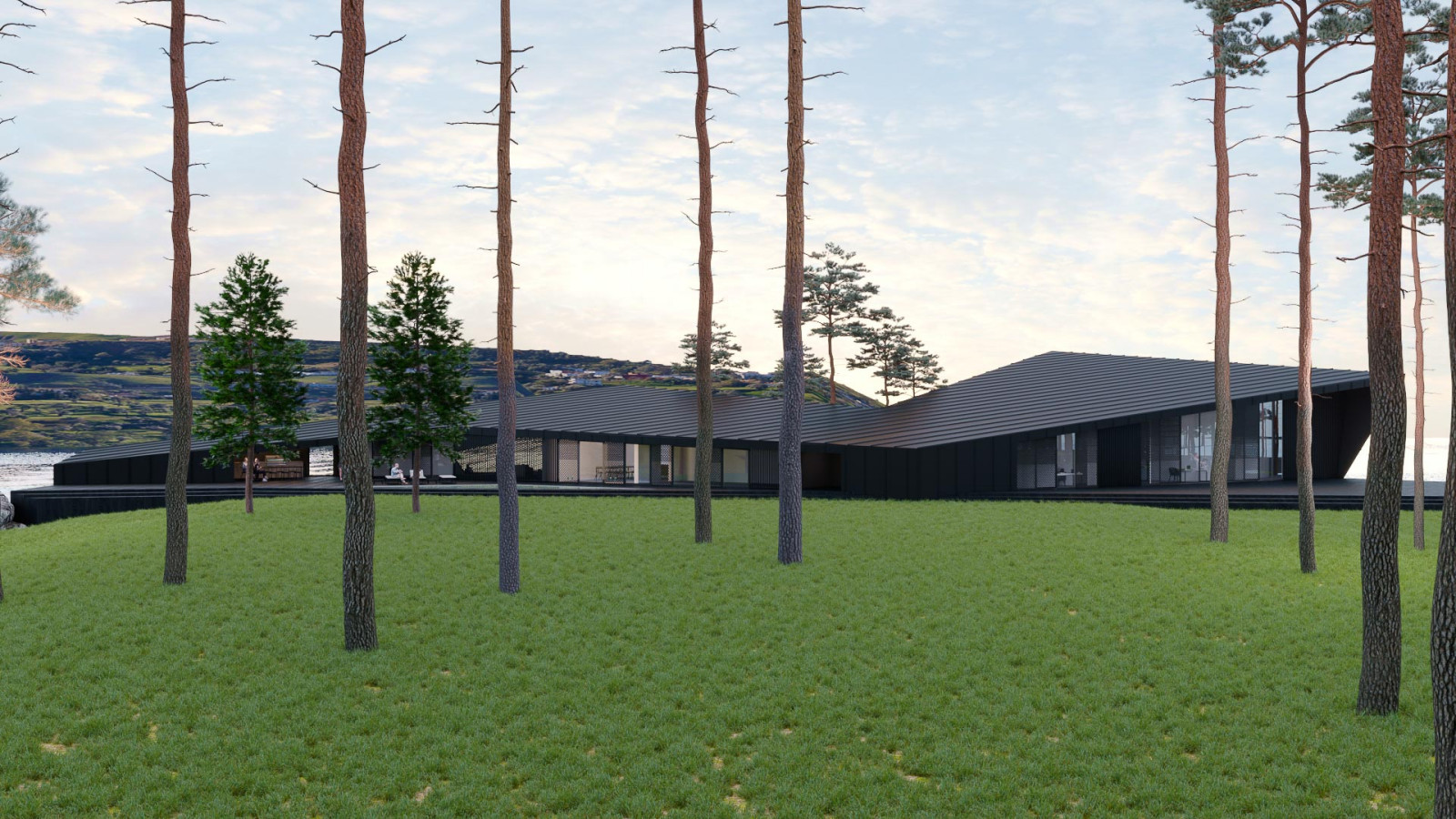 Дом в Карелии