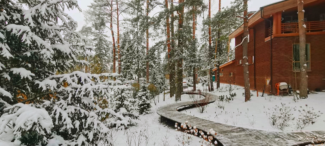 Обложка проекта: Ландшафтный дизайн участка с лесом В Покровском-Рубцове