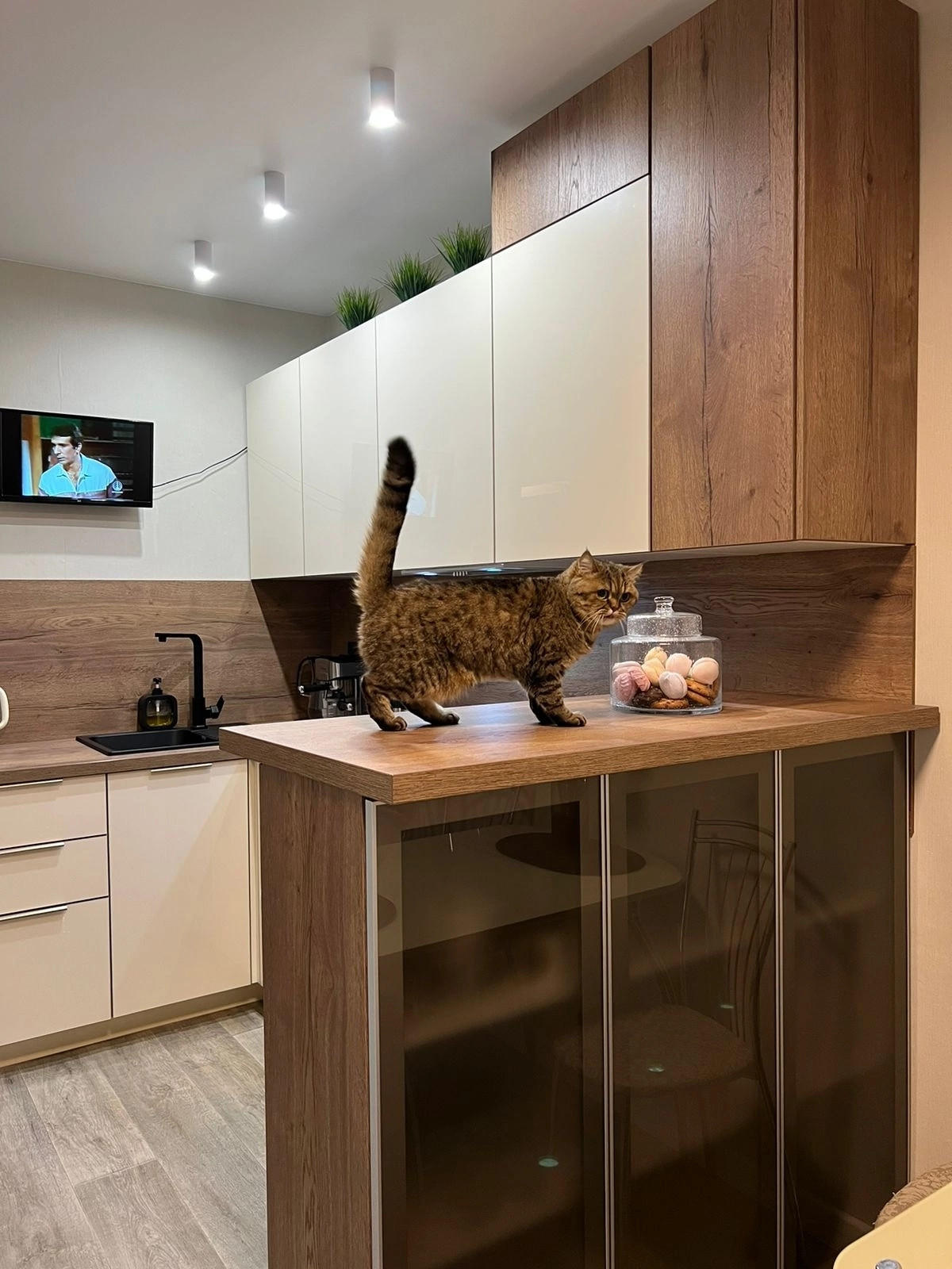 Модульные кухни Супер-К, Красноярск