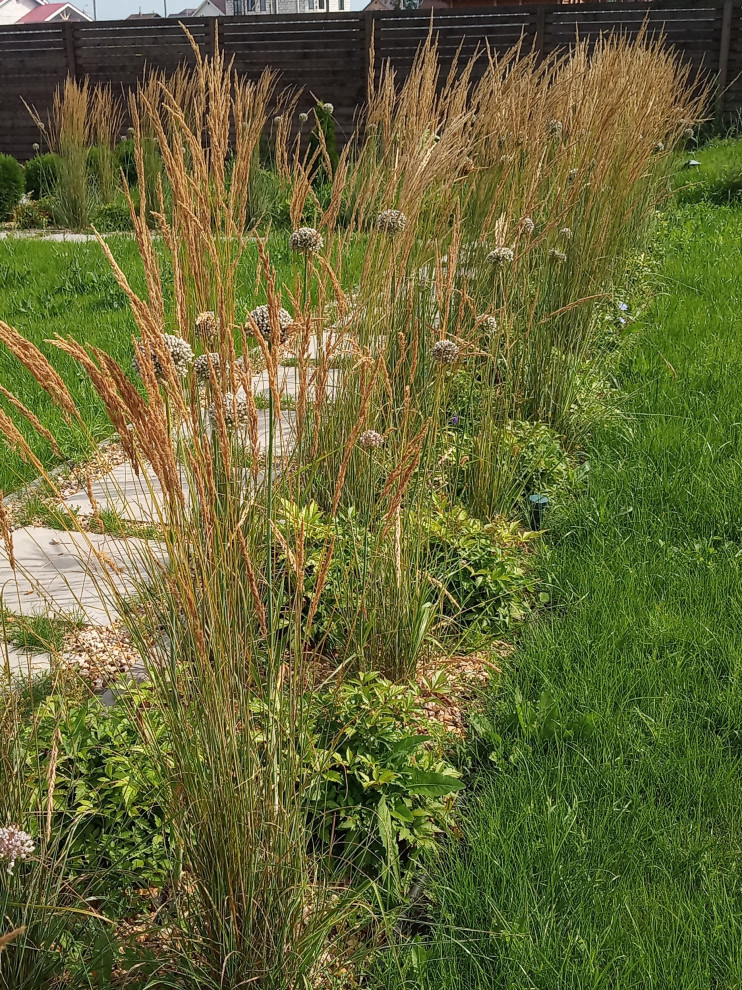 Зелёная комната