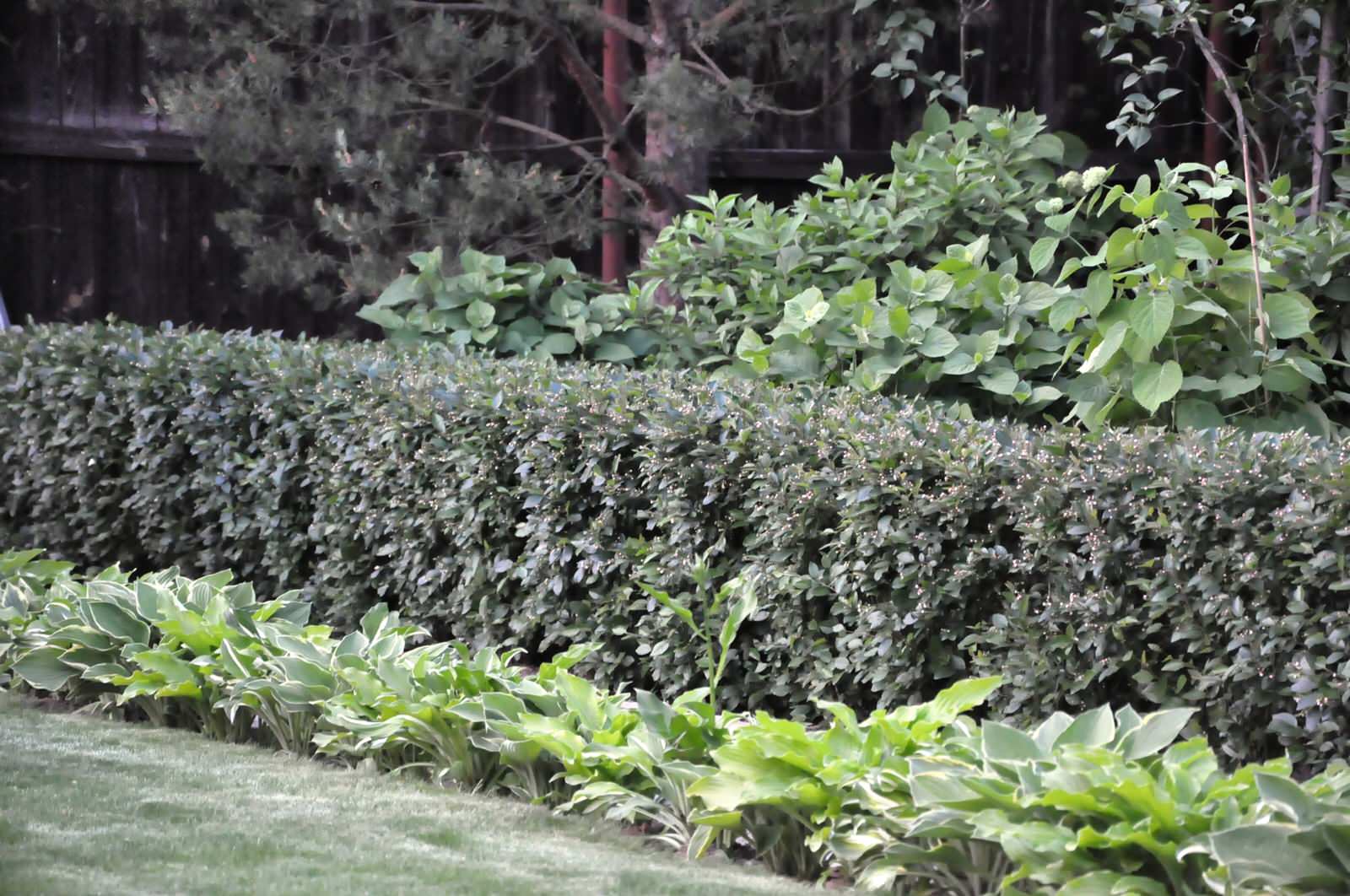 д. Громково - Уход за садом - 100% качество