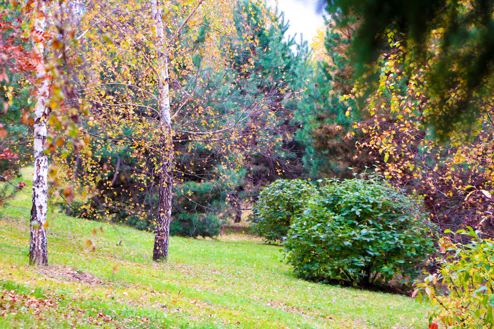 Лобаново, 2012-2021 гг.