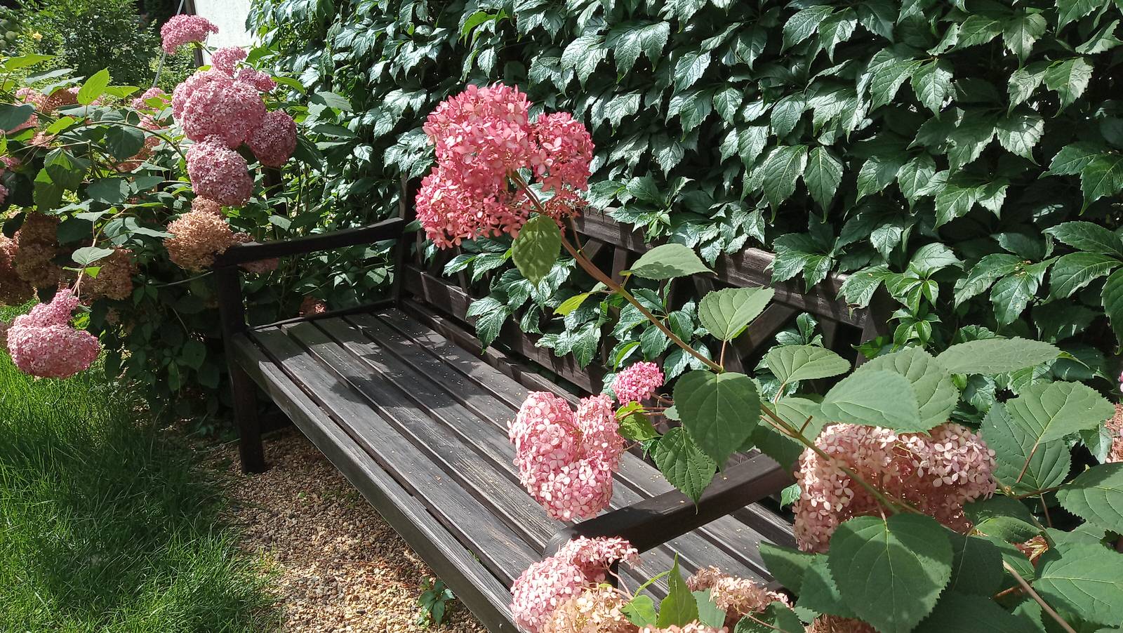 Сад в Рожновке