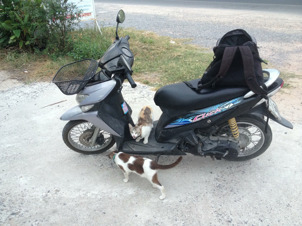 Личный опыт: Жизнь в Таиланде своим домом