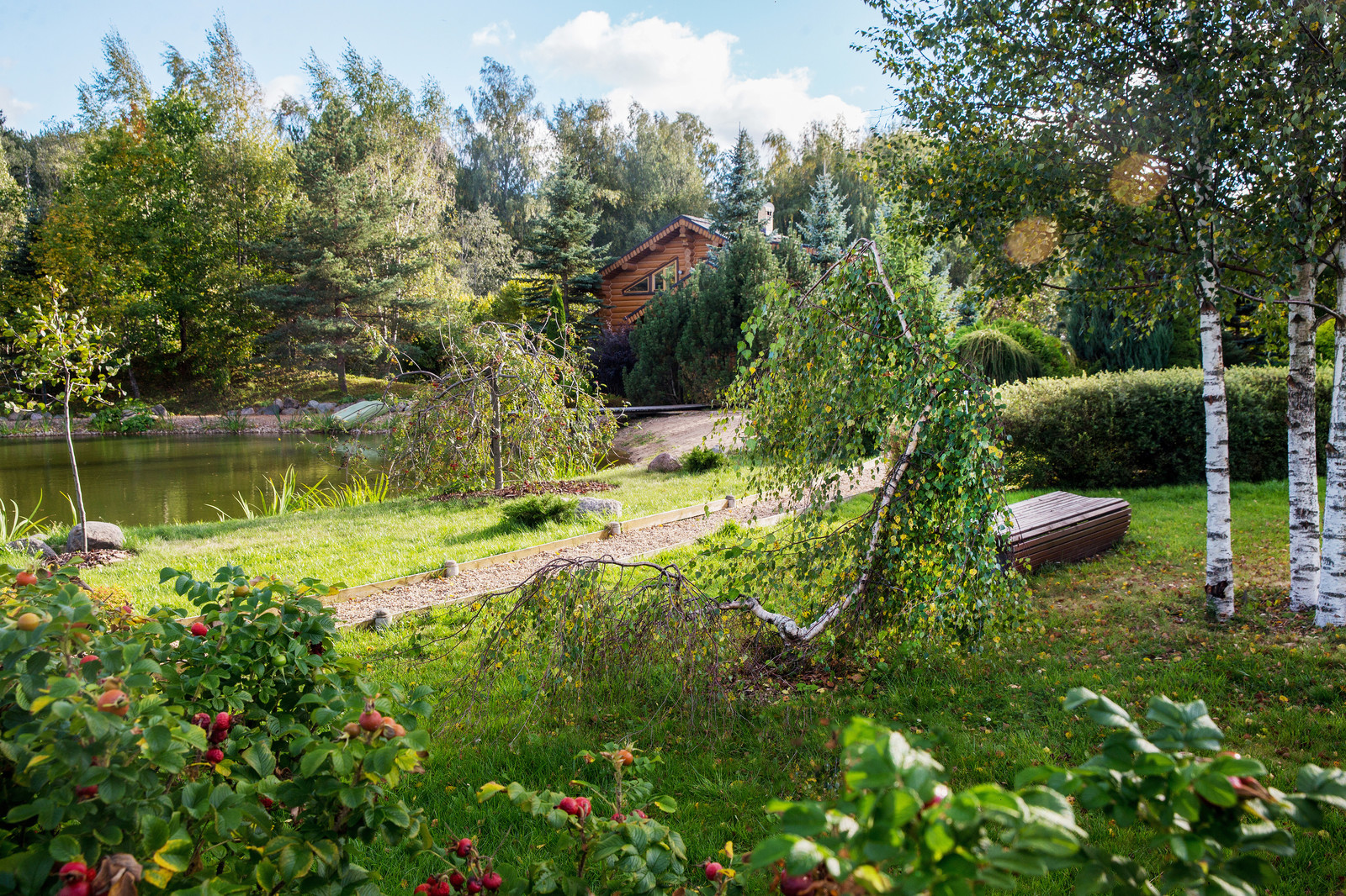 Парк в  Шаховском районе
