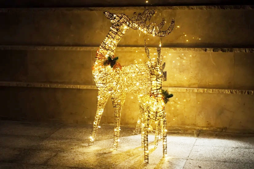 Обложка проекта: Дом в Истре