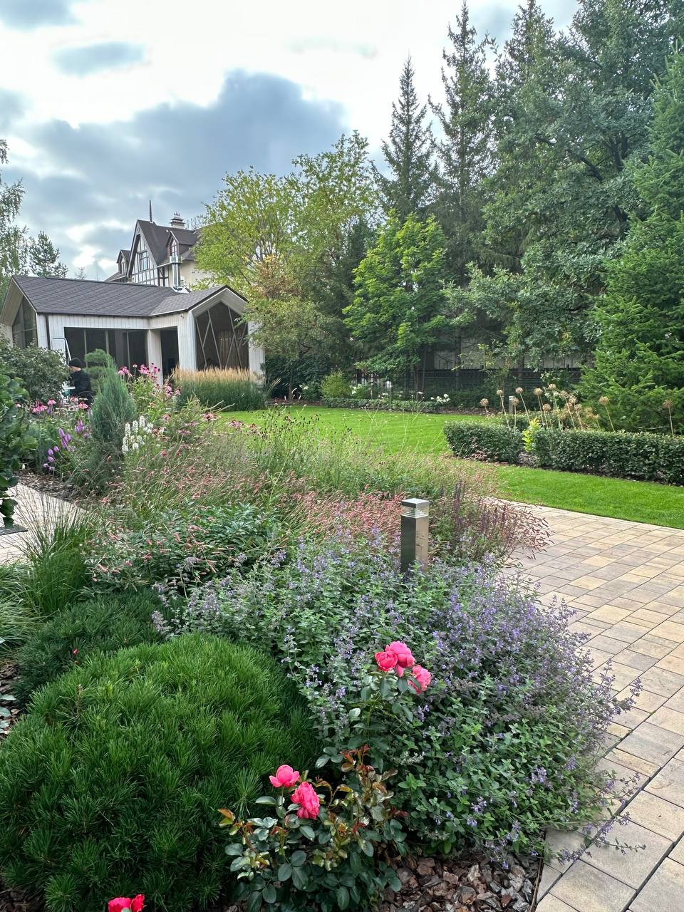 Чистые линии