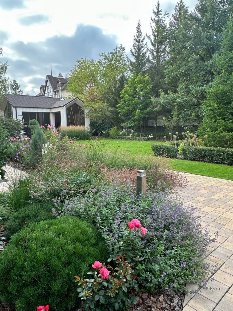 Чистые линии