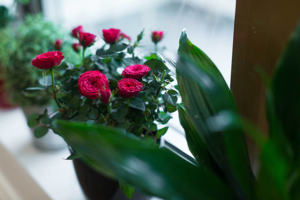 Студия в стиле Andrew Martin