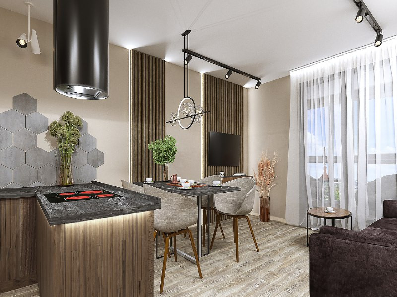 Кухня гостиная для молодого человека