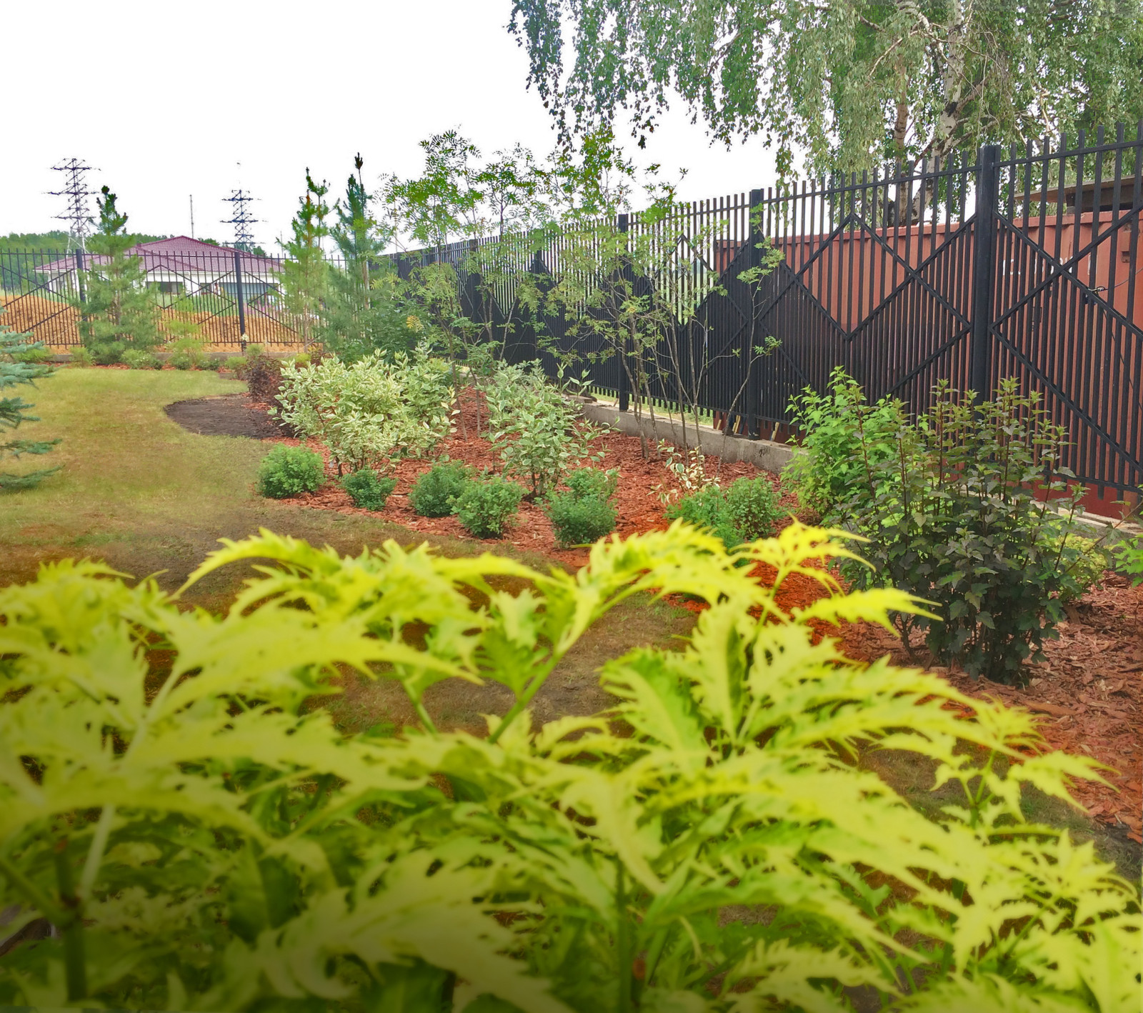 Юлия Медведева