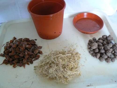 Азбука цветовода: Как выбрать фитомодуль для вертикального сада