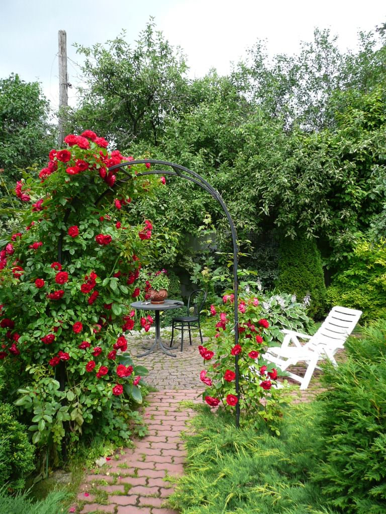 Обложка проекта: Клязьма 1