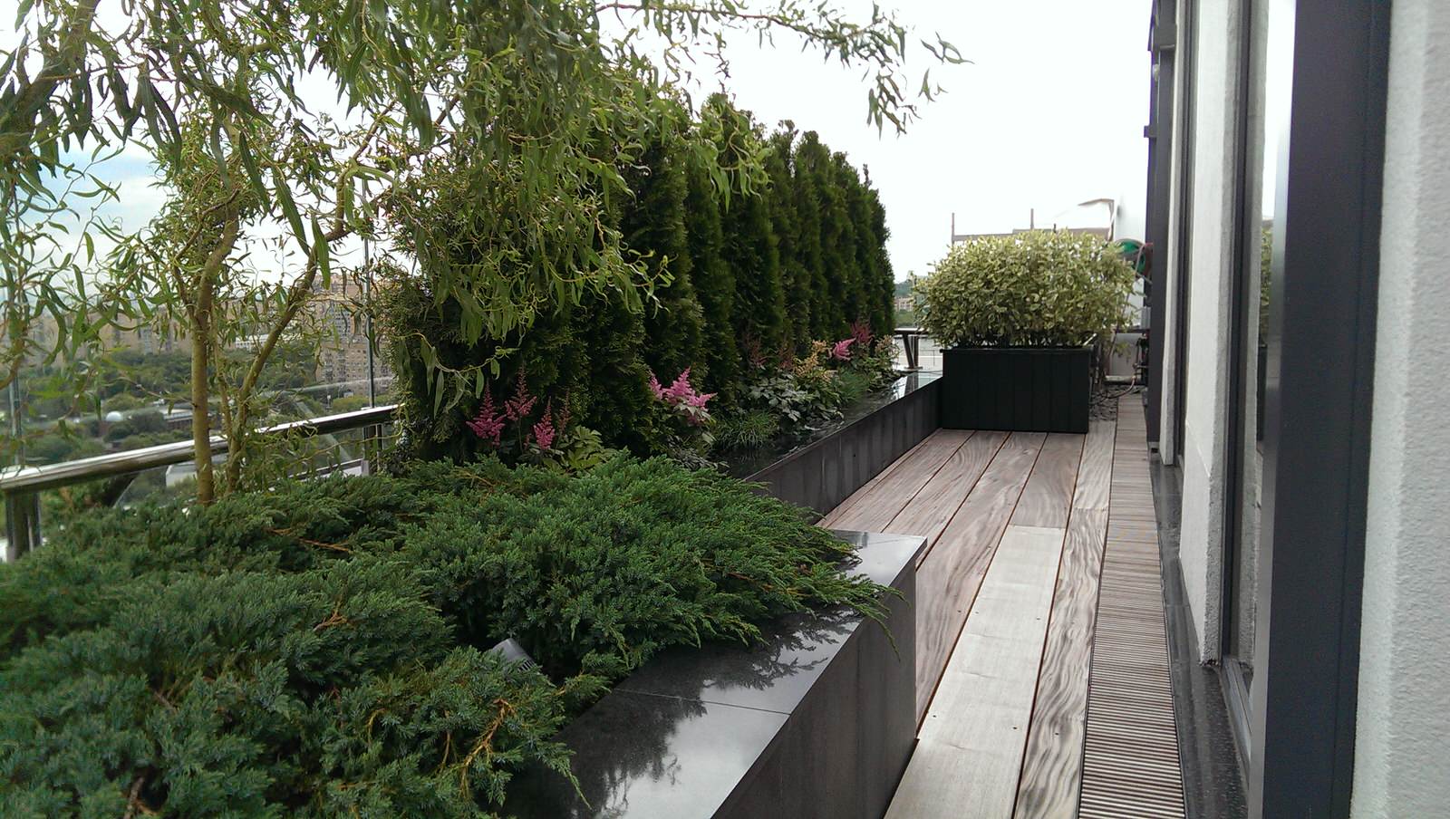 Сад на крыше