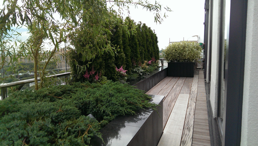 Сад на крыше