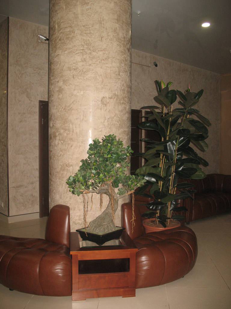 Примеры работ