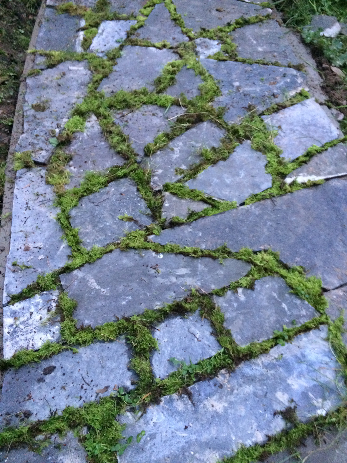 TRAVA ландшафтный дизайн