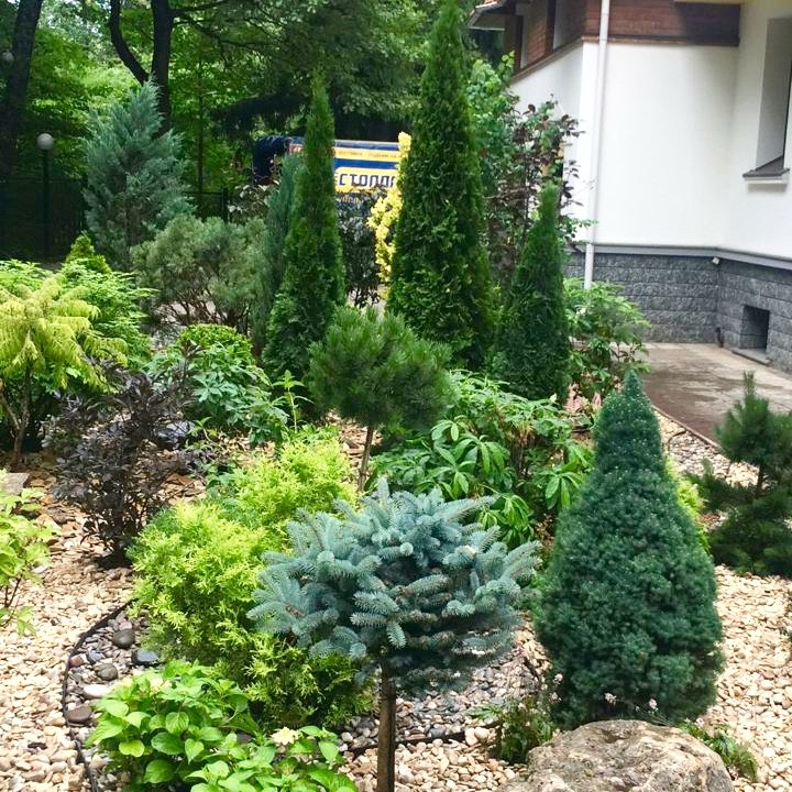 Воспоминая итальянские каникулы