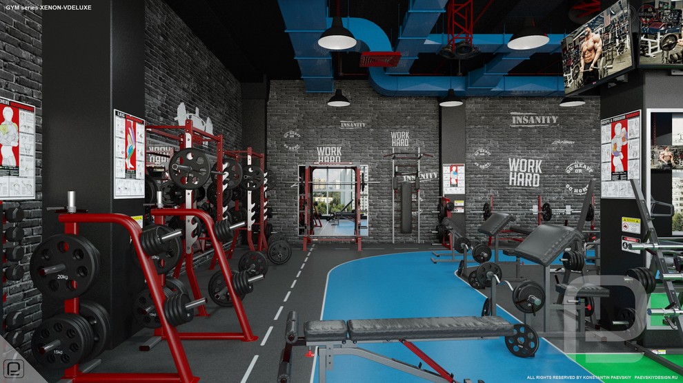 Тренажерный зал GYM series XENON-VDELUXE
