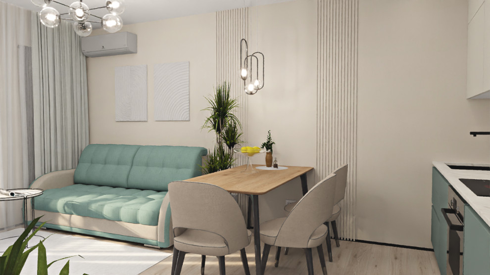 2х комнатная квартира-студия