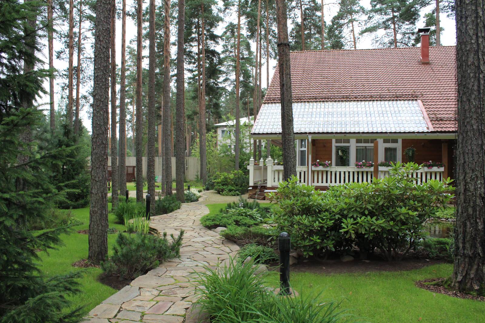 Обложка проекта: Рощино