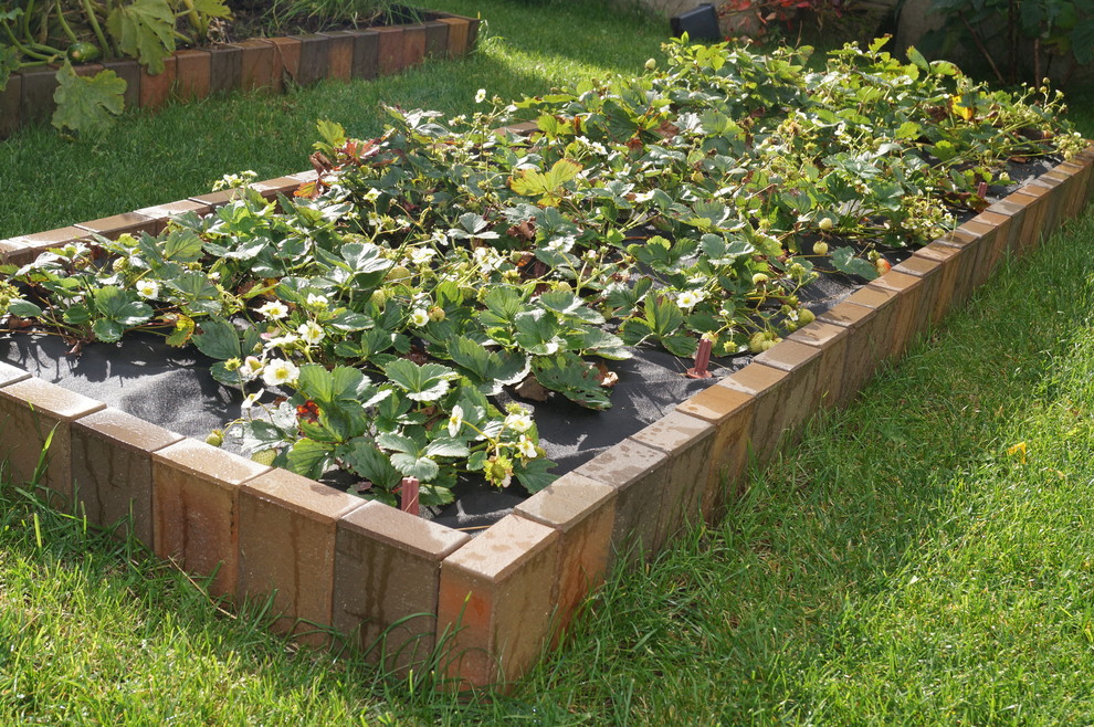 Токкари Лэнд