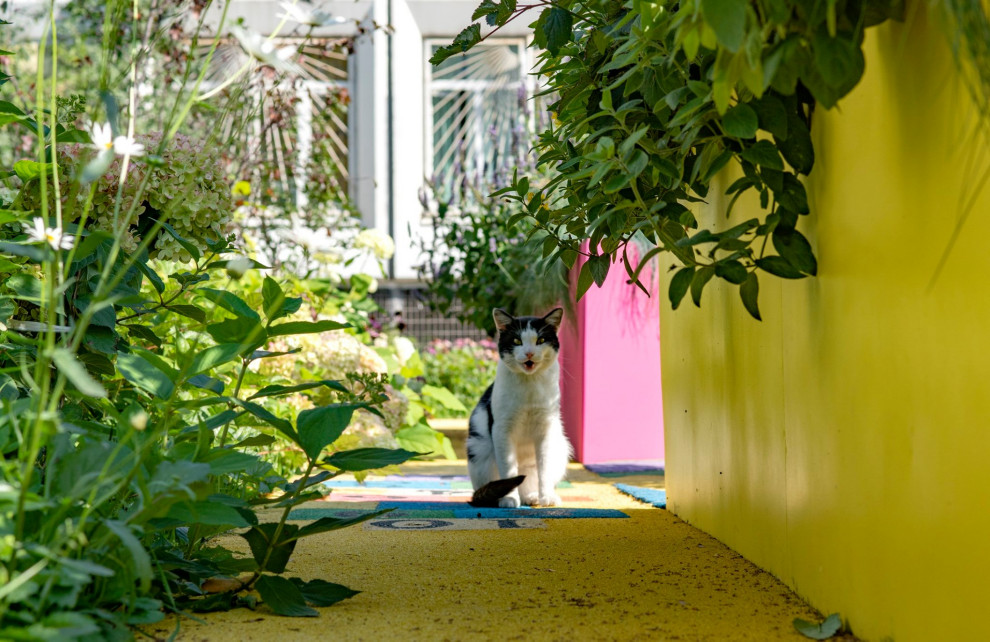 Социальный проект "Надежда"